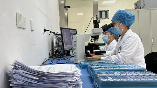 中醫(yī)骨傷融合現(xiàn)代醫(yī)技,共促醫(yī)療服務(wù)能力新提升