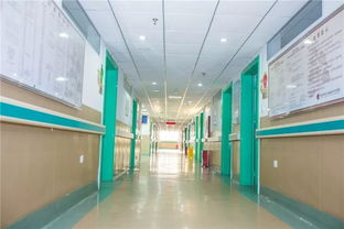 弘揚醫武精神,走大專科之路 泉州市正骨醫院滿意度調查再次獲得全省第一并成功接受 三甲 醫院復評檢閱