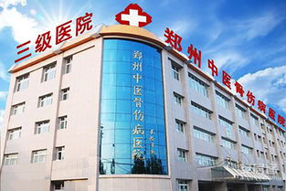 二環(huán)旁 自貿(mào)區(qū) 福塔旁 碧桂園天璽禮獻中原