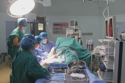 籃球少年遭遇半月板撕裂丨德州市中醫院關節鏡手術,助患者重返球場