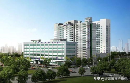 為何被眾說紛紜 深圳 為何這么火爆 專業(yè)人士是這樣說的